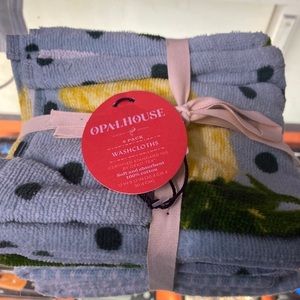 2 packs of opal house washcloths
